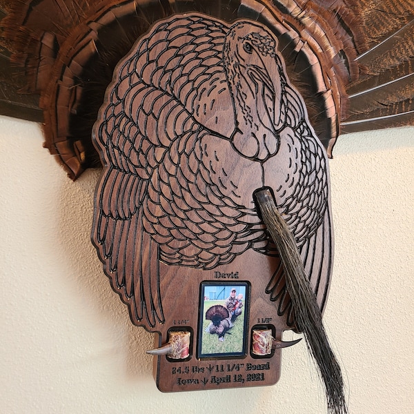 Turkey Fan Mount Etsy