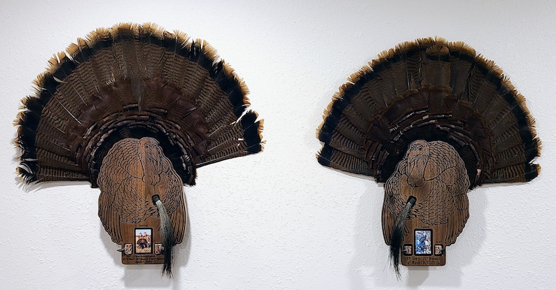 K&ouml;nnte beinhalten: Zwei braune und schwarze Truthahn-F&auml;cher-Montagen mit Holzsockeln. Jede Montage hat einen kleinen rechteckigen Bilderrahmen mit einer Jagdszene. Der Text auf dem Sockel lautet "2023 Georgia State Champion Turkey Hunt"