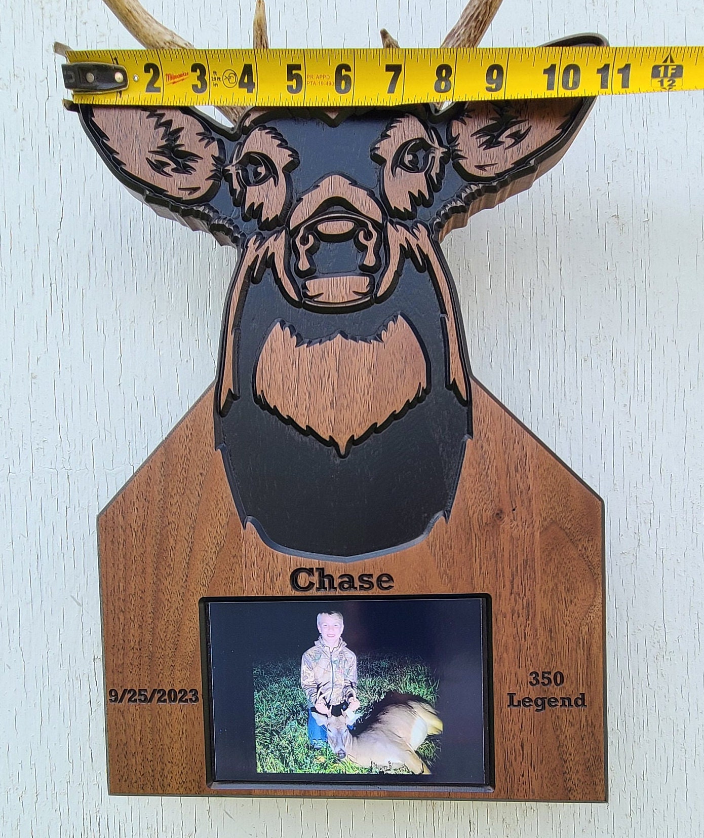 Custom Deer Mount Plaque, Antler Mount, First Deer Display ...