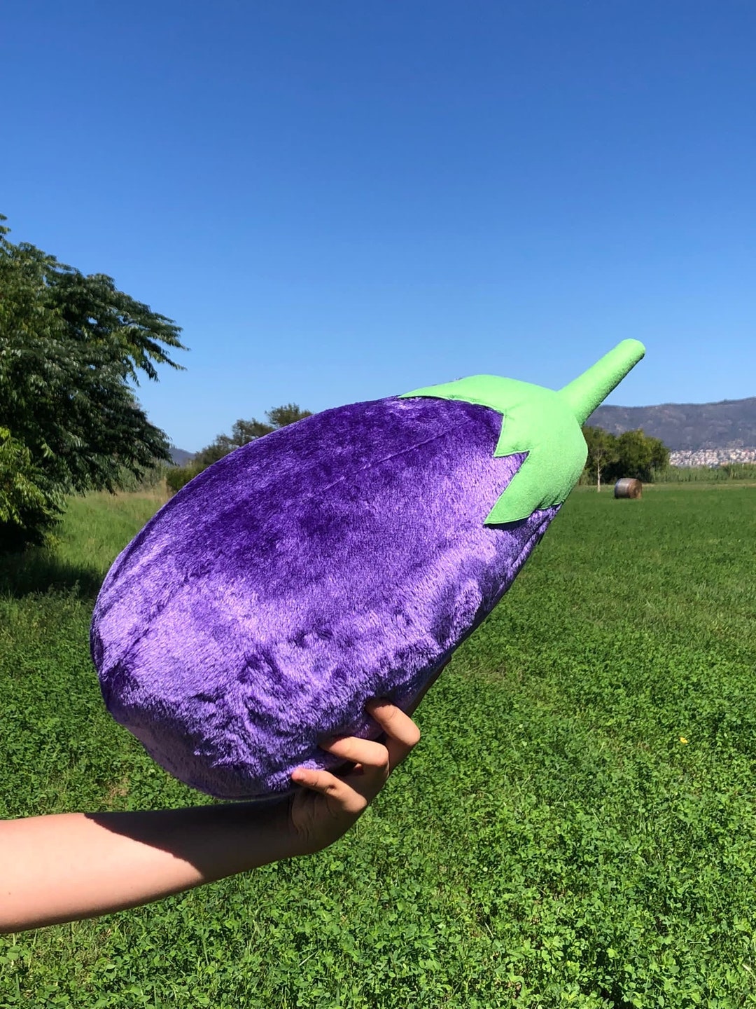 Giant Eggplant Cushion Handmade in Spain Soft Fun Party Etsy