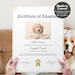 see more listings in the Printable Certificates section