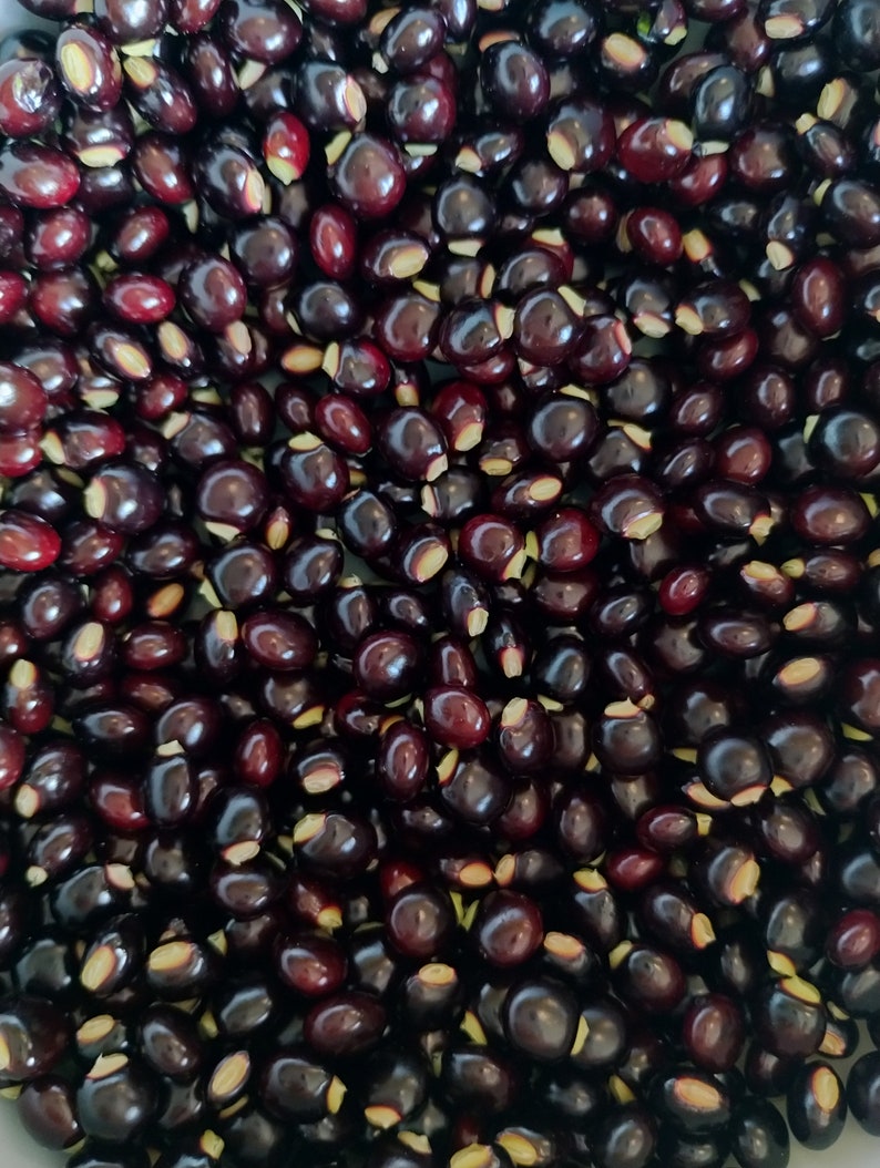 Black Pigeon Peas gandules - Etsy