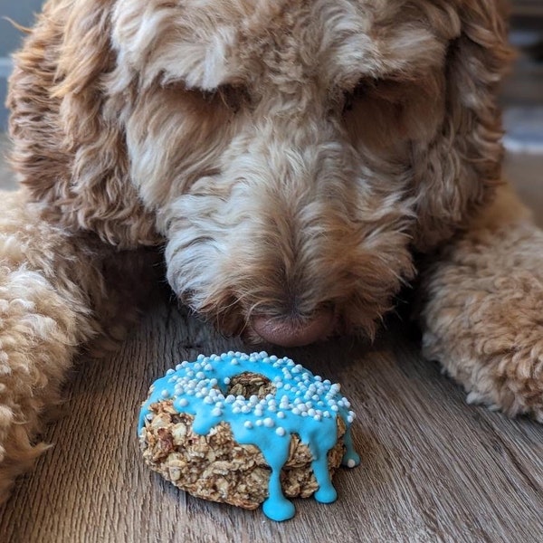 Doggie DONUTS / all natural dog treat