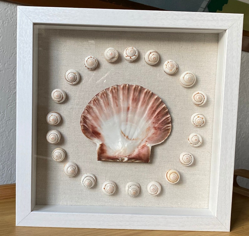 Seashell Shadow Box Wall Decor Mosaic Shell Art Coastal Etsy