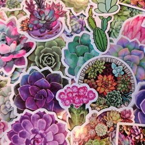 x5 Adesivi lucidi impermeabili con cactus e piante grasse per bottiglie d'acqua, computer portatili, notebook CONSEGNA GRATUITA + Adesivo! Adesivi con fiori di cactus e piante grasse