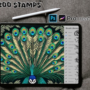 200 Feather Designs, Procreate Stamps, Photoshop Brush Set