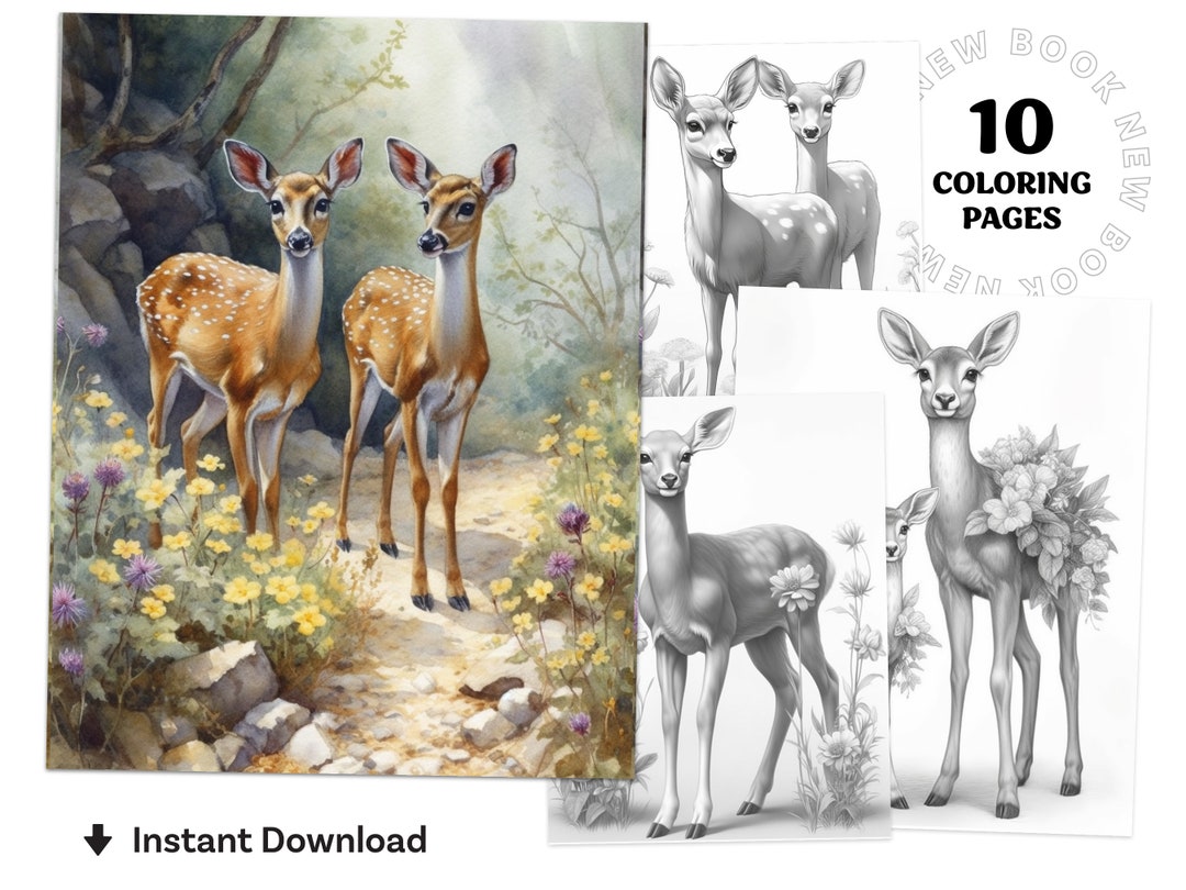 Cute Baby Deer Coloring Book Printable Coloring Page for Adult Coloring ...