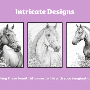 Horse Coloring Book Printable coloring page for Adult Coloring Book Digital download grayscale coloring page image 4