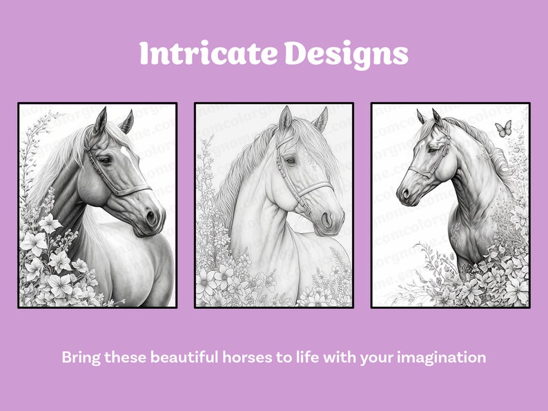 Horse Coloring Book Printable coloring page for Adult Coloring Book Digital download grayscale coloring page image 4