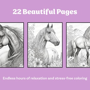 Horse Coloring Book Printable coloring page for Adult Coloring Book Digital download grayscale coloring page image 3