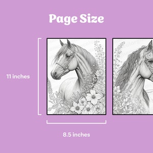 Horse Coloring Book Printable coloring page for Adult Coloring Book Digital download grayscale coloring page image 2