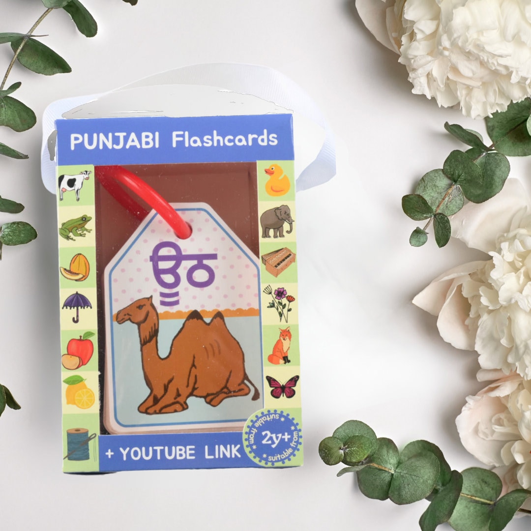 Punjabi Flashcards - Etsy