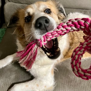 Braided Dog Toy Tug Rope