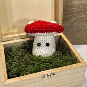 May include: A crocheted mushroom with a red cap and white stem, with black eyes, sitting in a wooden box filled with green moss.