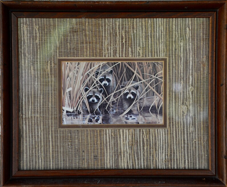3 Raccoons by Charles Frace Art Wall - Etsy