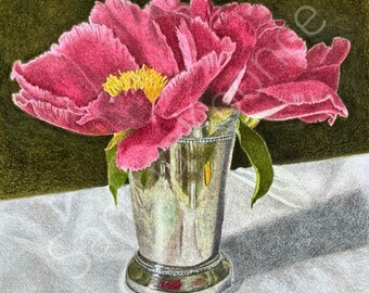 Peonies, Flowers, Floral, Original Fine Art Colored Pencil 8x8 in matted to 12x12 in