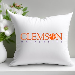 Custom College Dorm Pillow, Graduation Gift, HS Senior Gift, Commitment Day Pillow, Personalized Bed Party Pillow, College Room Decor
