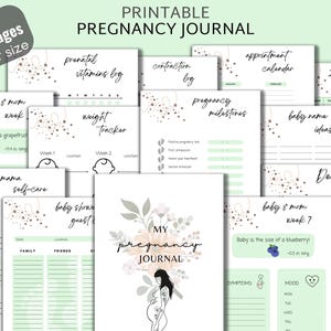 Pregnancy Planner Printable, Printable Pregnancy Journal, Expecting Mom Kit, From Bump to Baby, Hospital Bag Checklist, My Birth Plan, PDF