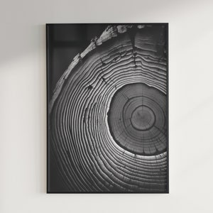 Black and White Tree Rings, Digital Download Wall Art, Digital Prints, Digital Download, Art Prints Download