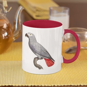 Art gris d&#39;Afrique sur une tasse décorative, cadeau perroquet mignon, amateur d&#39;oiseaux, tasse perroquet gris Congo, cadeau pour elle, pendaison de crémaillère, anniversaire, perroquet de compagnie