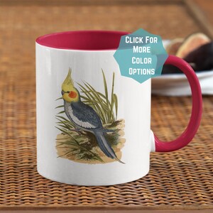 Cockatiel on two-toned mug, Cute Parrot Gift, Bird Lover, Parrot coffee Cup, bird nerd, cockatiel, bird mug, Pet Parrot, Vintage art