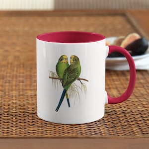 Parakeet Budgerigar on Accent Mug, Cute Parrot Gift, Bird Lover, Funny Parrot Cup, Gift for Her, Housewarming, Birthday, Pet Parrot, Vintage