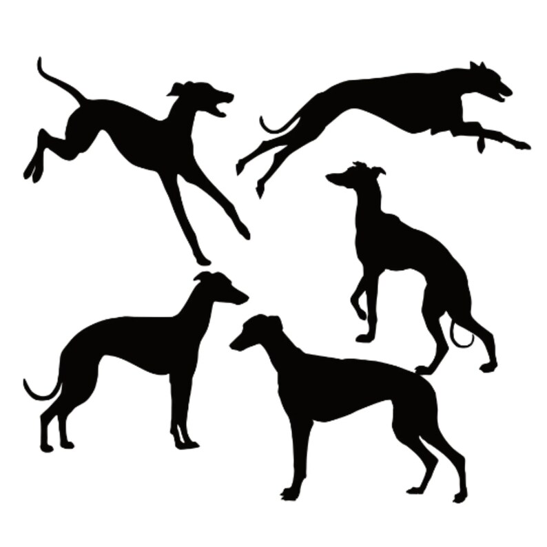 Greyhound Shape Greyhound Bundle Svg, Greyhound Svg, Greyhound Silhouette, Greyhound ...