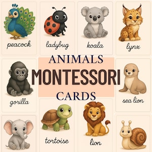 SCHEDE ANIMALI MONTESSORI, png, alta qualità, animali, carte educative, educativo, bambini, neonato