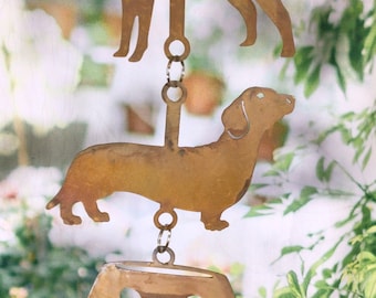Dachshund