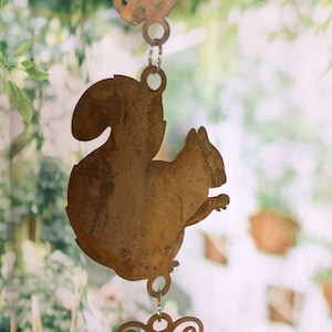 Squirrel