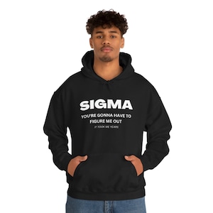 SIGMA - You’re Gonna Have to Figure Me Out - It Took Me Years - Heavy Blend Hooded Sweatshirt