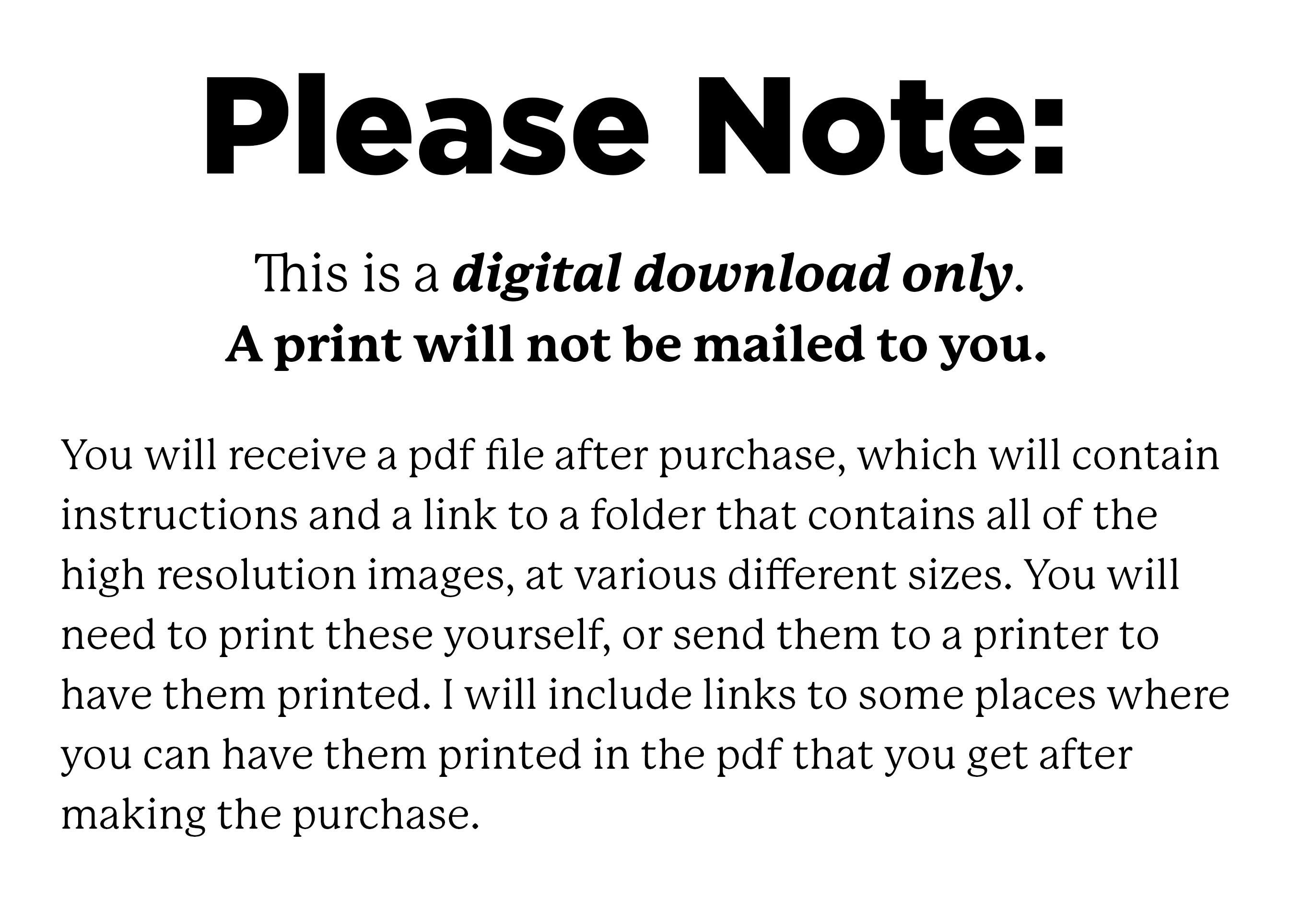 Boho Botanical Wall Art, Colorful Wall Art, Mid Century Modern Poster