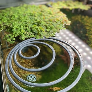 2-9” Aquarium Floating Plant Rings Aquascaping (ANY COLOUR)