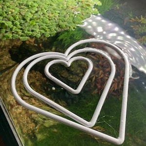 Aquarium Heart Shaped  Floating Plant Rings Aquascaping (ANY COLOUR)