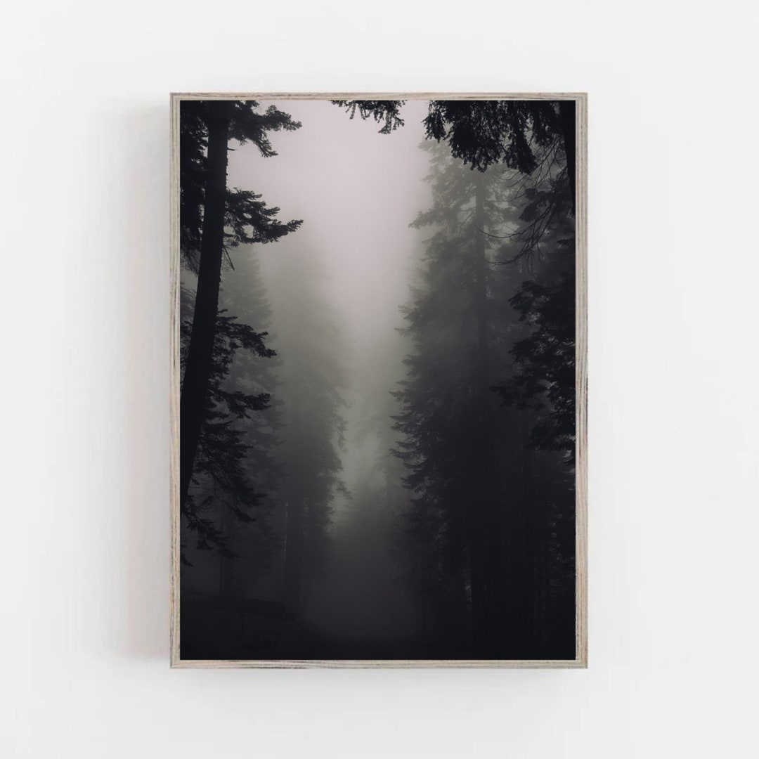 Foggy Forest Wall Art Dark Academia Moody Art Print Forest Photograph