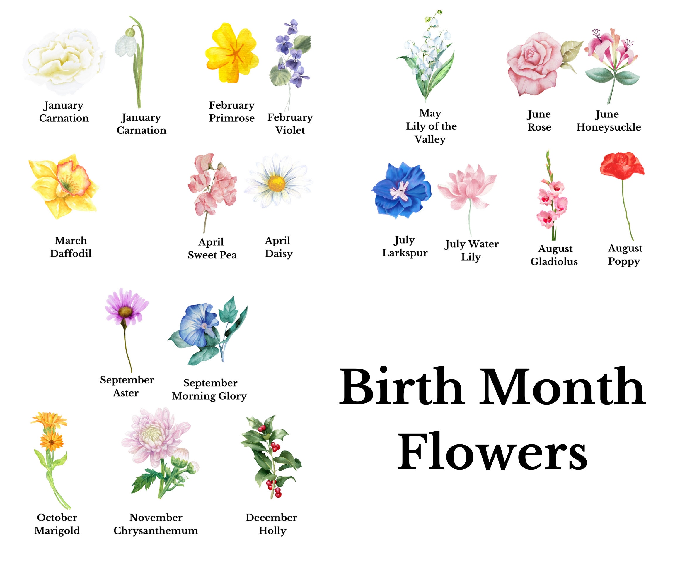 Digital Grandma's Flower Garden, Birth Flower Image, Personalized Names 