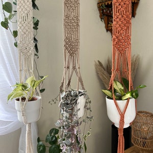 May include: Three macrame plant hangers with wooden rings, each holding a potted plant. The hangers are in white, beige, and orange.