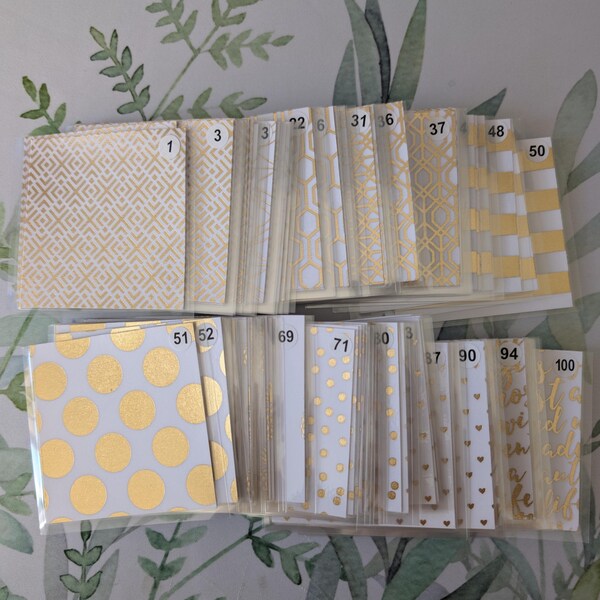 100 Envelope Challenge| Clear Back Envelopes | Cash Stuffing