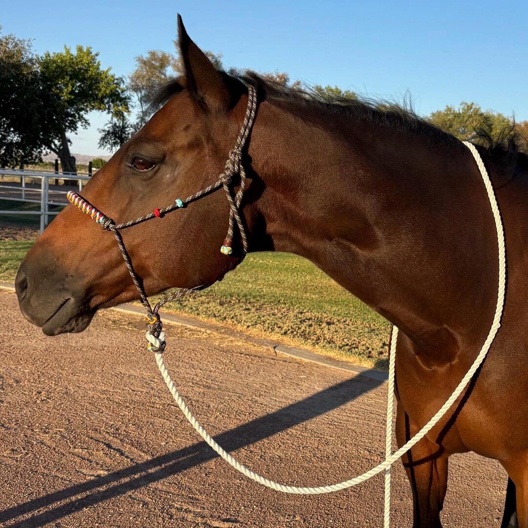 Western Colors Handmade Rope Halter - Etsy