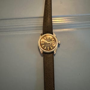 Lucerne Marine Luxus Diver Watch