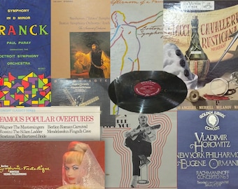 Caja con 9 discos de vinilo / Colección de LP / Álbumes vintage / Regalo para amantes de la música