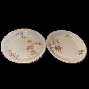Antique set of 2 German Porcelain C.T. Carl Tielsch Floral Dish Altwasser Germany