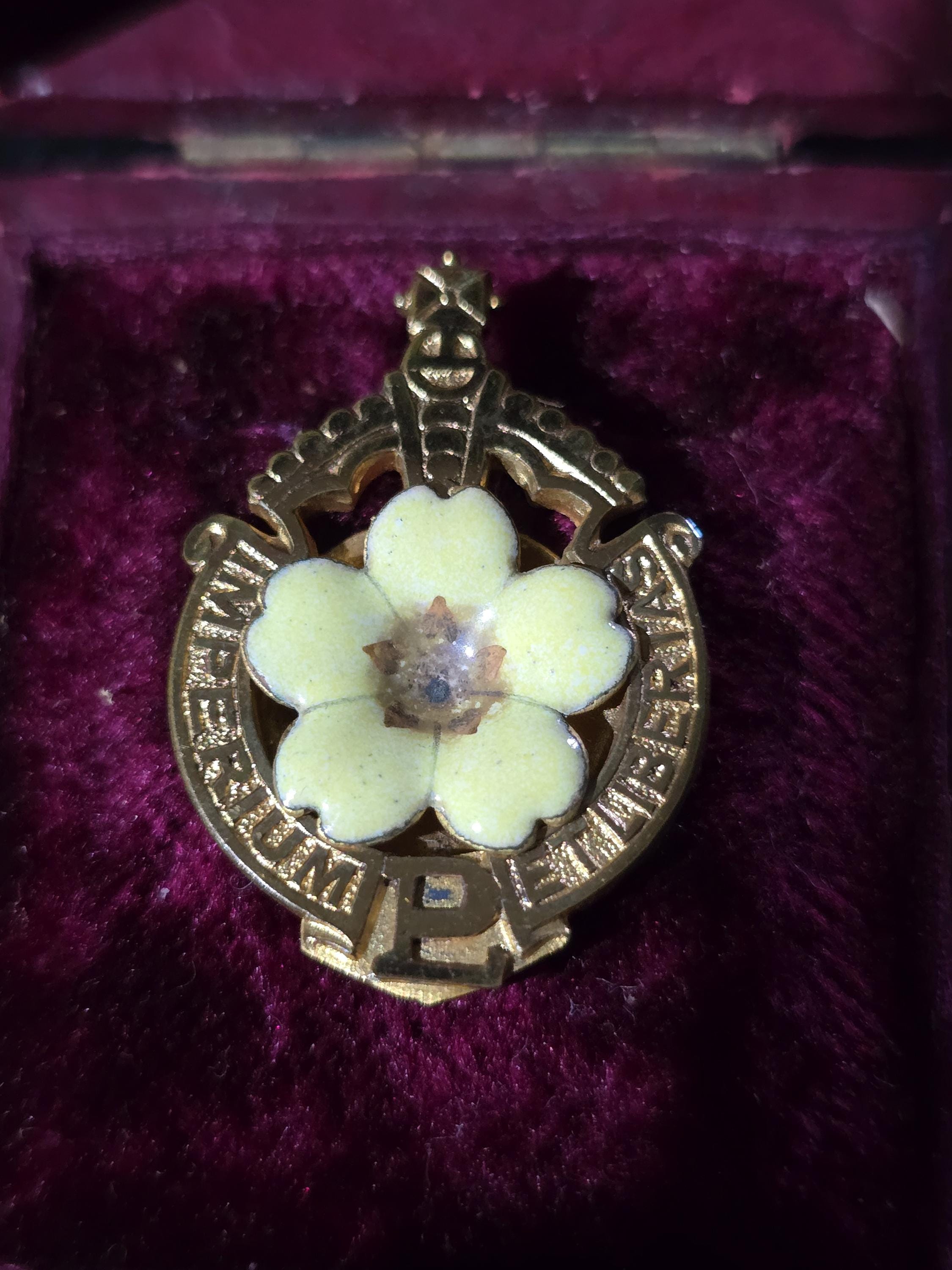 Victorian Primrose League Enamel Buttonhole Badge - T & J Bragg Birmingham - Numbered R 94156 - Original Box