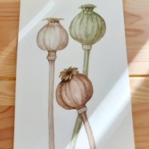 Unique Original  Watercolor Painting Dry poppies, beige wall art decor, poppies pods art, Dry flower art, boho interior, poppy decror