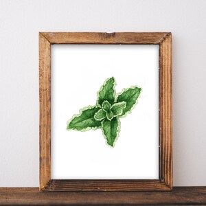 Dipinto ad acquerello originale unico mela menta piperita, decorazione murale di erbe aromatiche, arte della menta piperita, pianta dipinta a mano