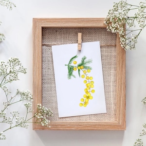 Original Watercolor Painting Mimosa , Unique watercolor Ellow flowers, spring flower, Sun Simbol handpainred art
