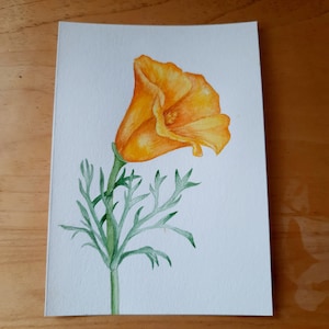 Unique Original Watercolor Painting California poppy, yellow flower wall art decor, blossom flower room decor, yellow poppy decor