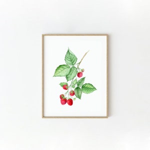 Original watercolor Painting Ruspberry, Unique watercolor art, Ruspberry home decor, wild berry painting, Ruspberry branch art, wild plants