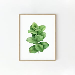 Dipinto ad acquerello originale Mela Menta piperita, Arte unica, pittura botanica, arredamento soggiorno, arte erba menta, ramo di menta piperita, 8x10