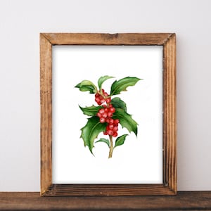 Original watercolor painting holly berry, room decor, holly berry leaves hand painted art, best gift, holly berry branch paintings